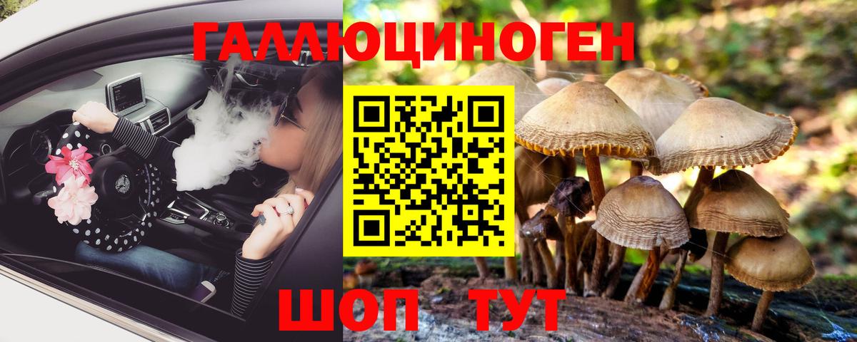 Галлюциногенные грибы Cubensis  Вход с VPN  купить наркотики сайты  Нарьян-Мар  Галлюциногенные грибы мицелий 